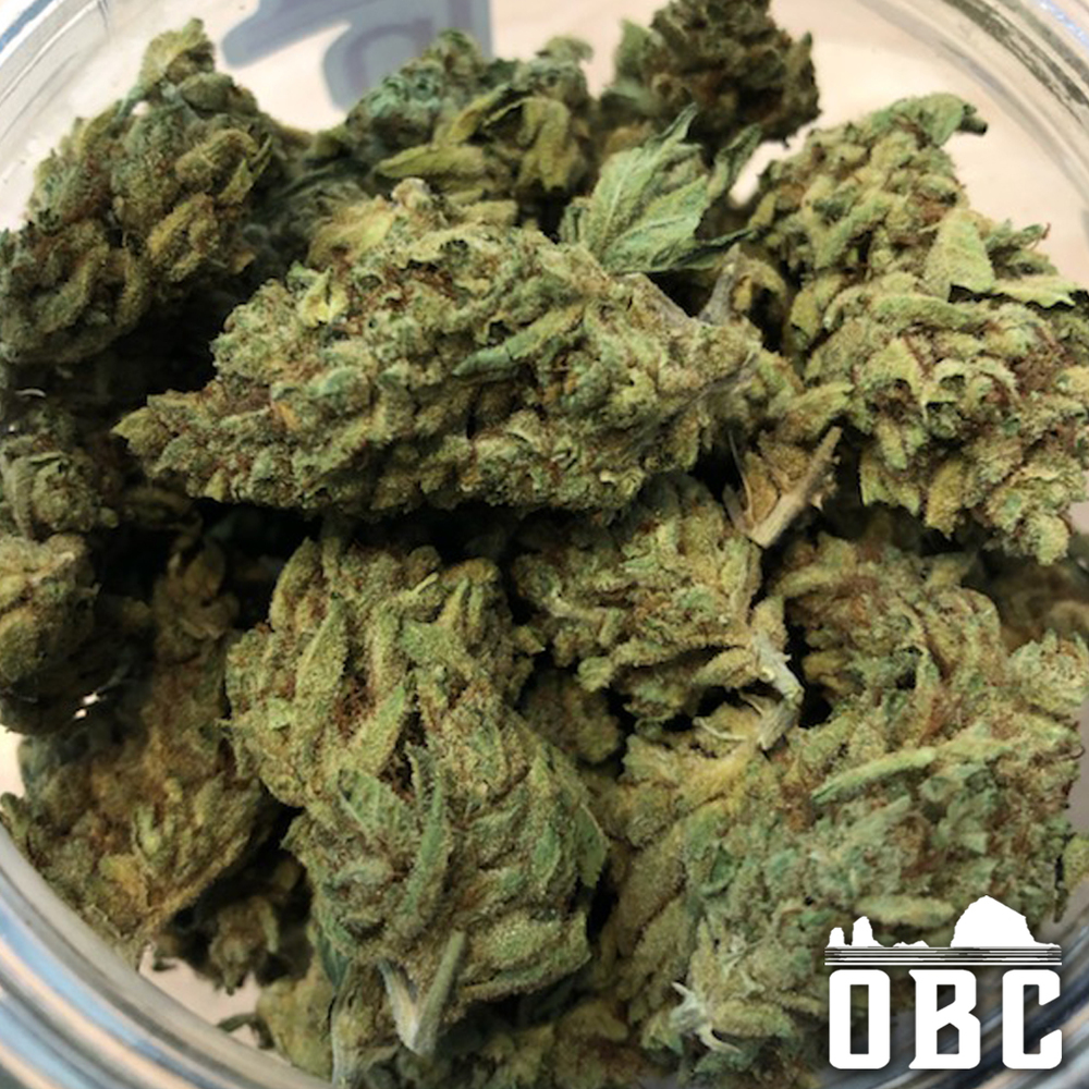 Oregon Bud Company | 16631 SE 82nd Dr, Clackamas, OR 97015, USA | Phone: (503) 850-4930