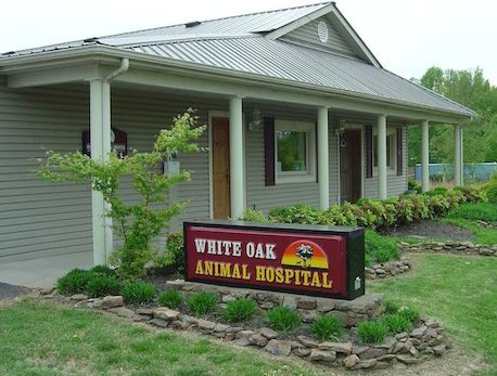 White Oak Animal Hospital - Clinic & Holistic Telemedicine | 1341 Fairview Blvd, Fairview, TN 37062 | Phone: (615) 799-7981