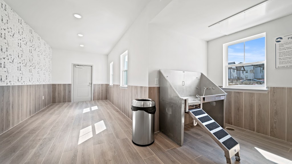 Emerson at Trace | 618 El Rio St, San Marcos, TX 78666, USA | Phone: (737) 777-9313