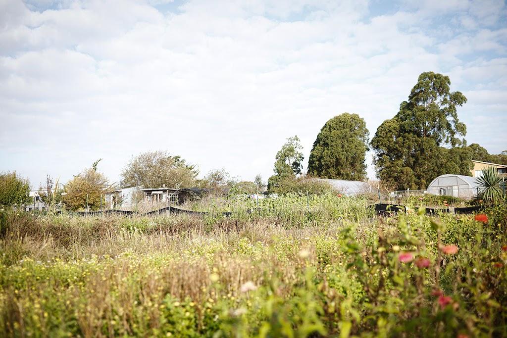 Natural Bridges Farm by Homeless Garden Project | Shaffer Rd, Santa Cruz, CA 95060, USA | Phone: (831) 426-3609