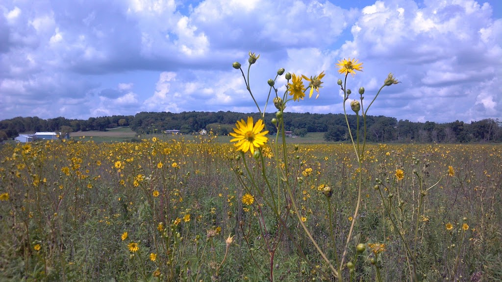 Madison Audubons Faville Grove Sanctuary | W7480 Prairie Ln, Lake Mills, WI 53551, USA | Phone: (608) 255-2473