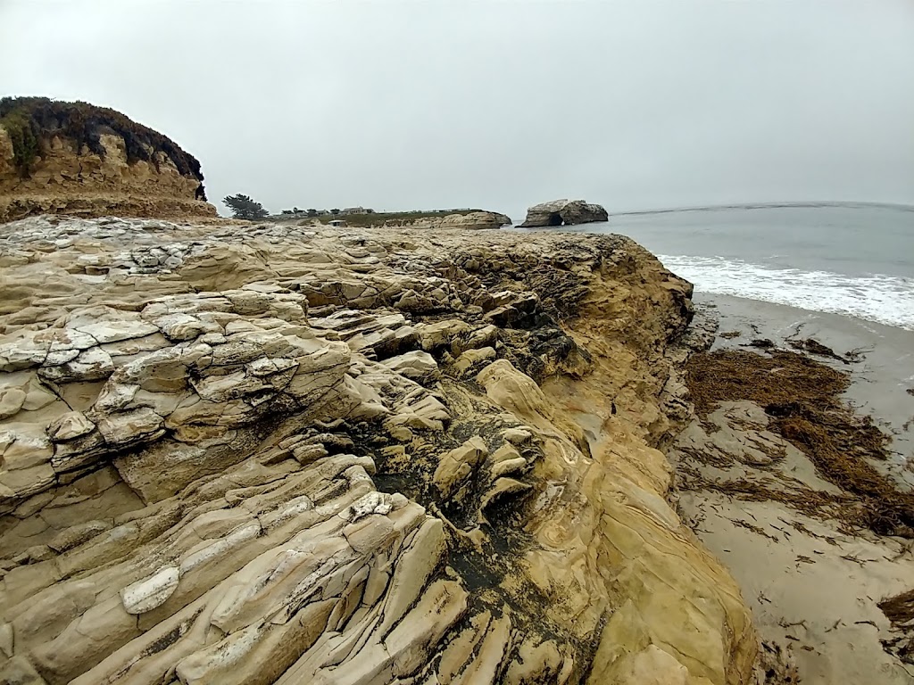 Natural Bridges Tidepools | Santa Cruz, CA 95060, USA | Phone: (831) 423-4609