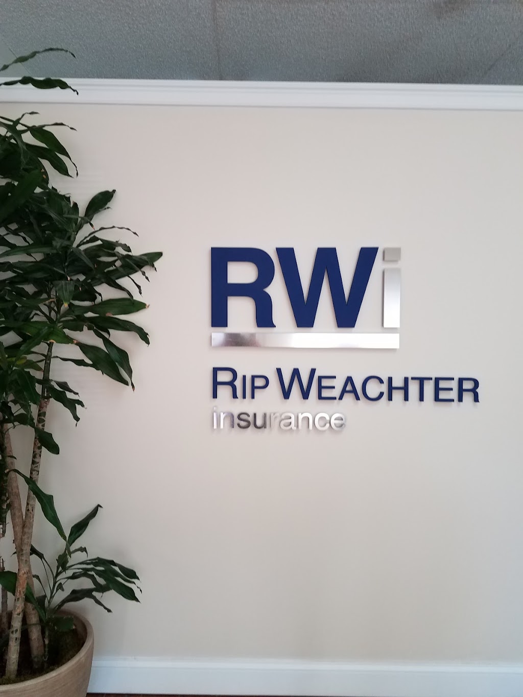 Rip Weachter Insurance Agency | 4311 W El Prado Blvd, Tampa, FL 33629, USA | Phone: (813) 831-8889