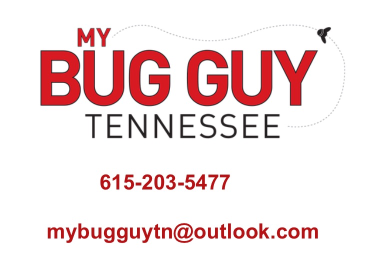 My Bug Guy, LLC | 613 Fairview Ave, Murfreesboro, TN 37130, USA | Phone: (615) 203-5477