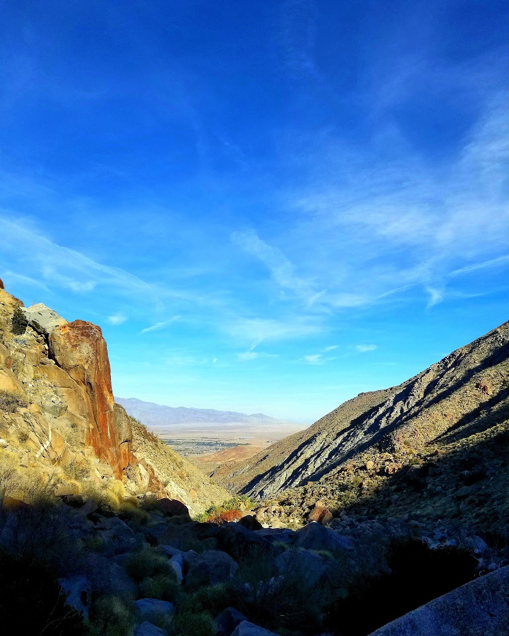 Hellhole Palms | Anza-Borrego Desert State Park, Palm Canyon Dr, Ranchita, CA 92066, USA | Phone: (760) 767-3385