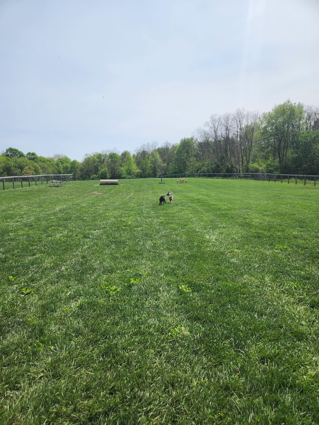 Paws 2 Play Dog Park | 4309 Lancaster Rd, Granville, OH 43023, USA | Phone: (740) 587-2535