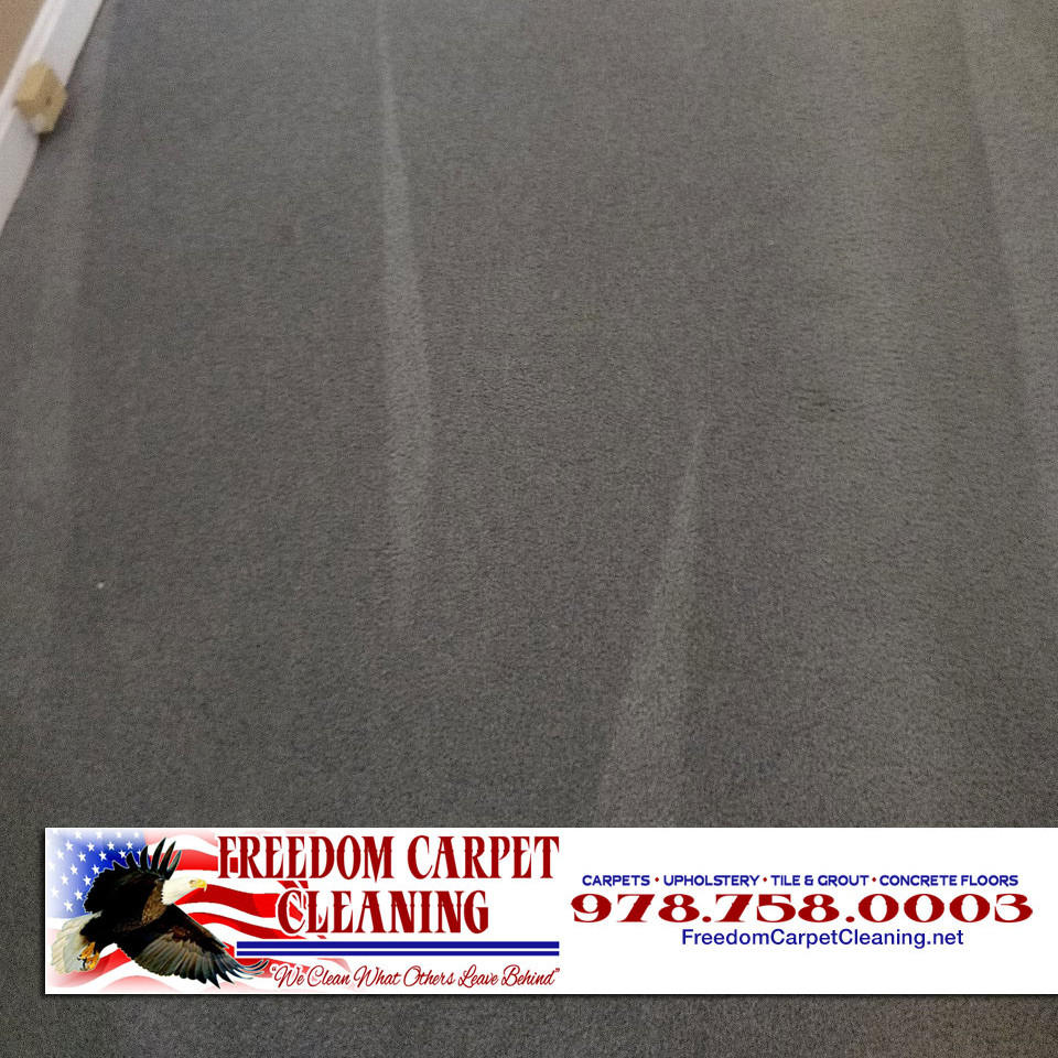 Freedom Carpet Cleaning | 17 Michigan Rd, Tyngsborough, MA 01879 | Phone: (978) 758-0003