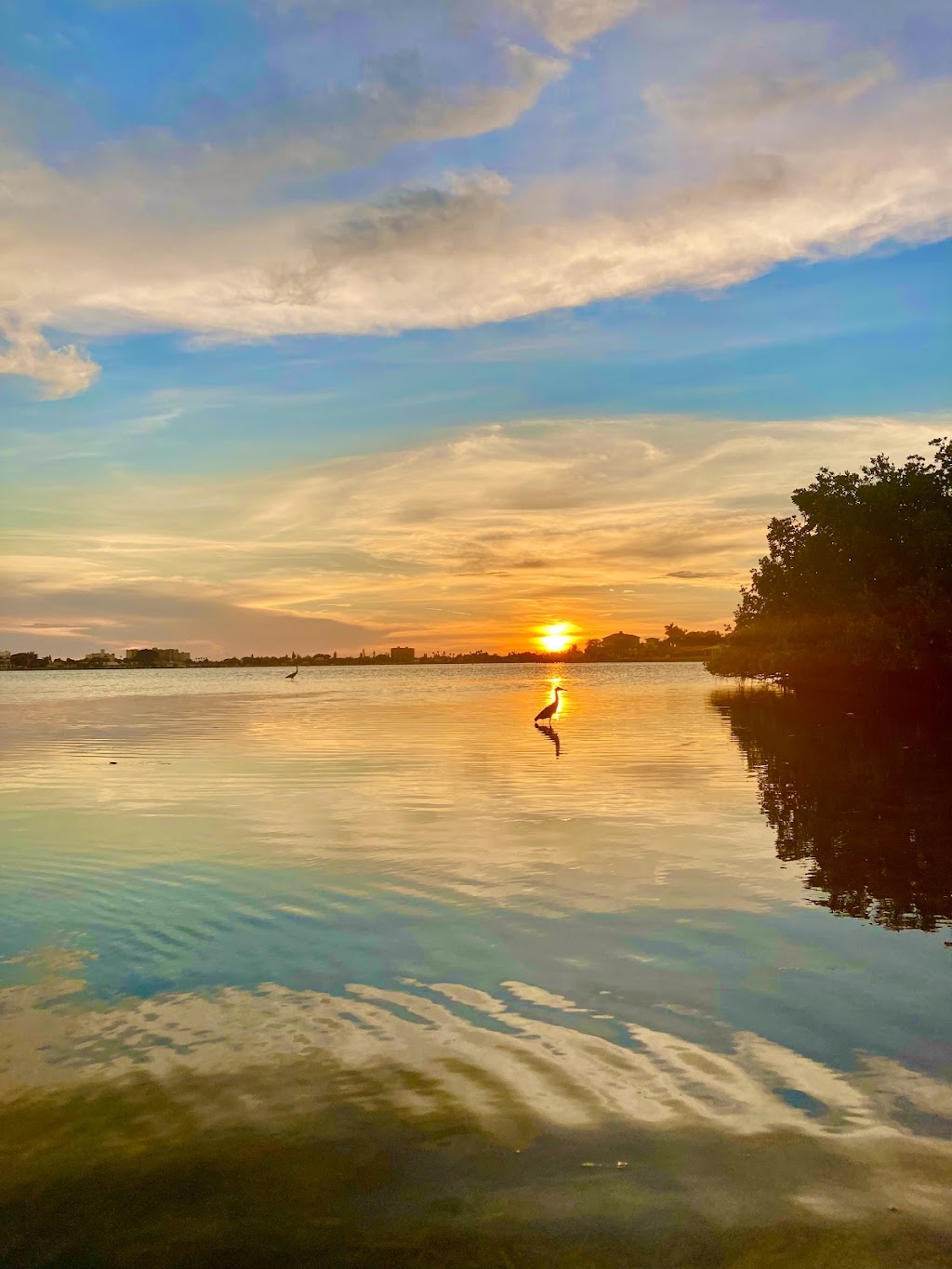 Jacks Island | 27.743273, -82.729968, St. Petersburg, FL 33707, USA | Phone: (727) 804-5832