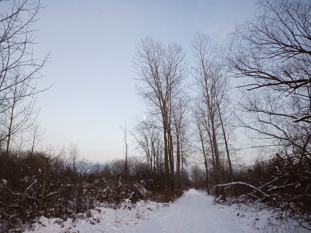 Gord Harry Conservation Trail Parking Lot | Gord Harry Conservation Trail, Wainfleet, ON L0S 1V0, Canada | Phone: (905) 788-3135