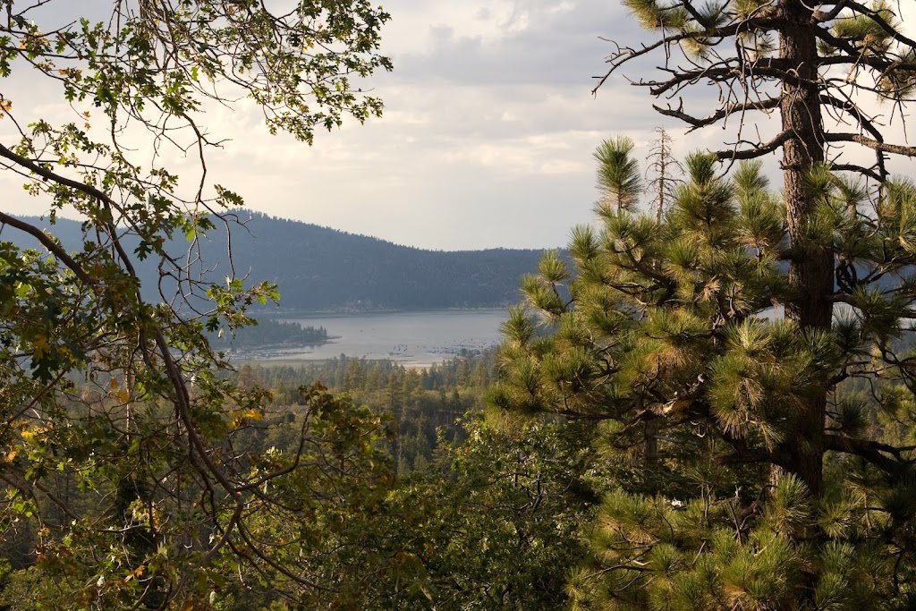 Big Bear Visitor Center - Visit Big Bear | 40824 Big Bear Blvd, Big Bear Lake, CA 92315, USA | Phone: (800) 424-4232