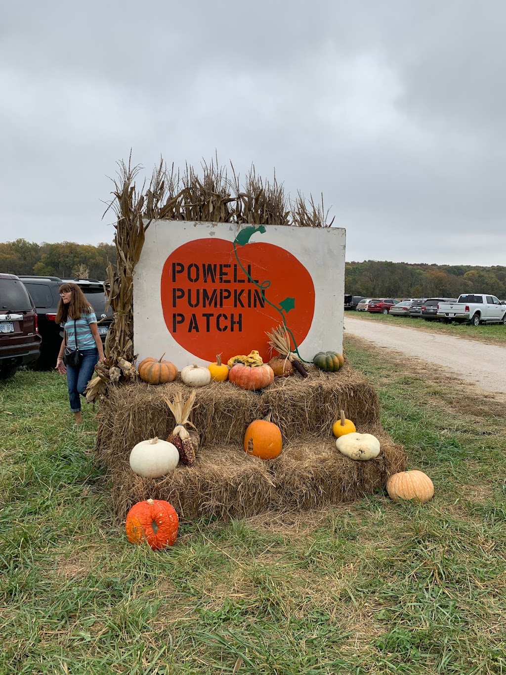 Powell Pumpkin Patch | 25695 Spring Valley Rd, Louisburg, KS 66053, USA | Phone: (913) 879-2477