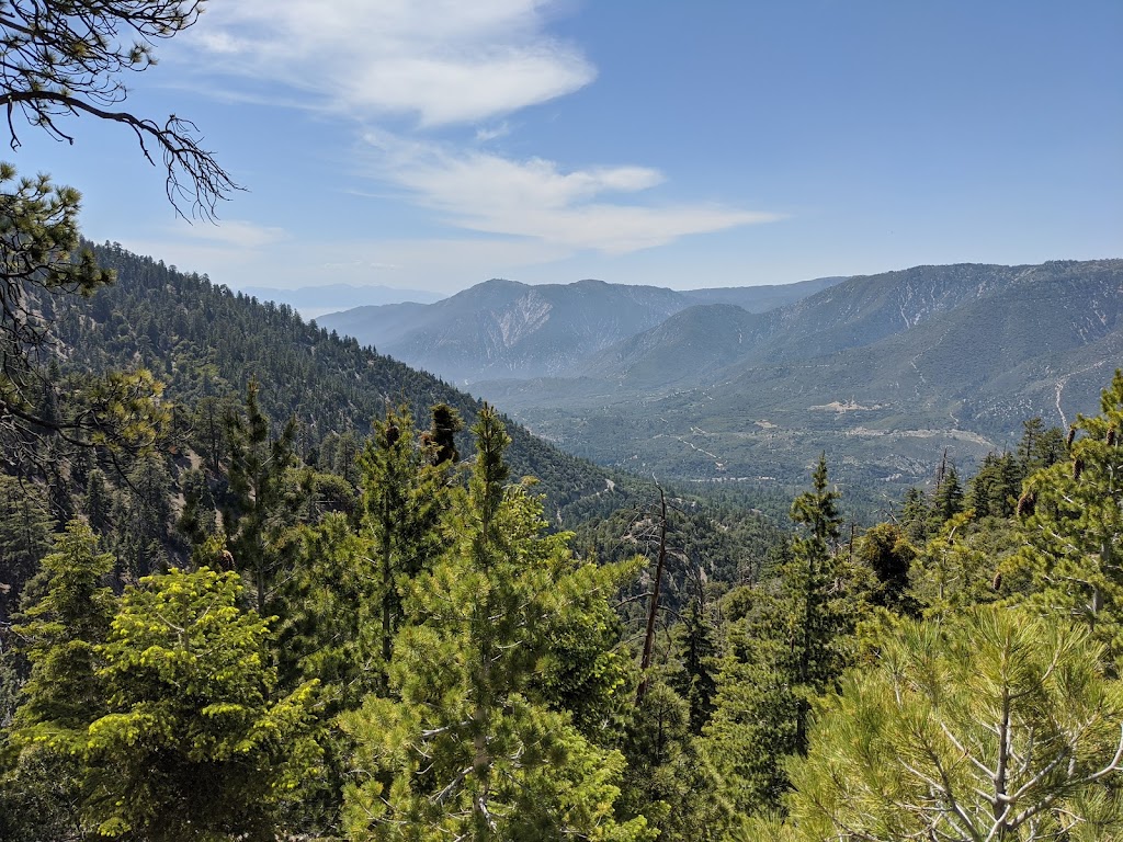 Johns Meadow Camp | Johns Meadow Trail, Angelus Oaks, CA 92305, USA | Phone: (909) 382-2882