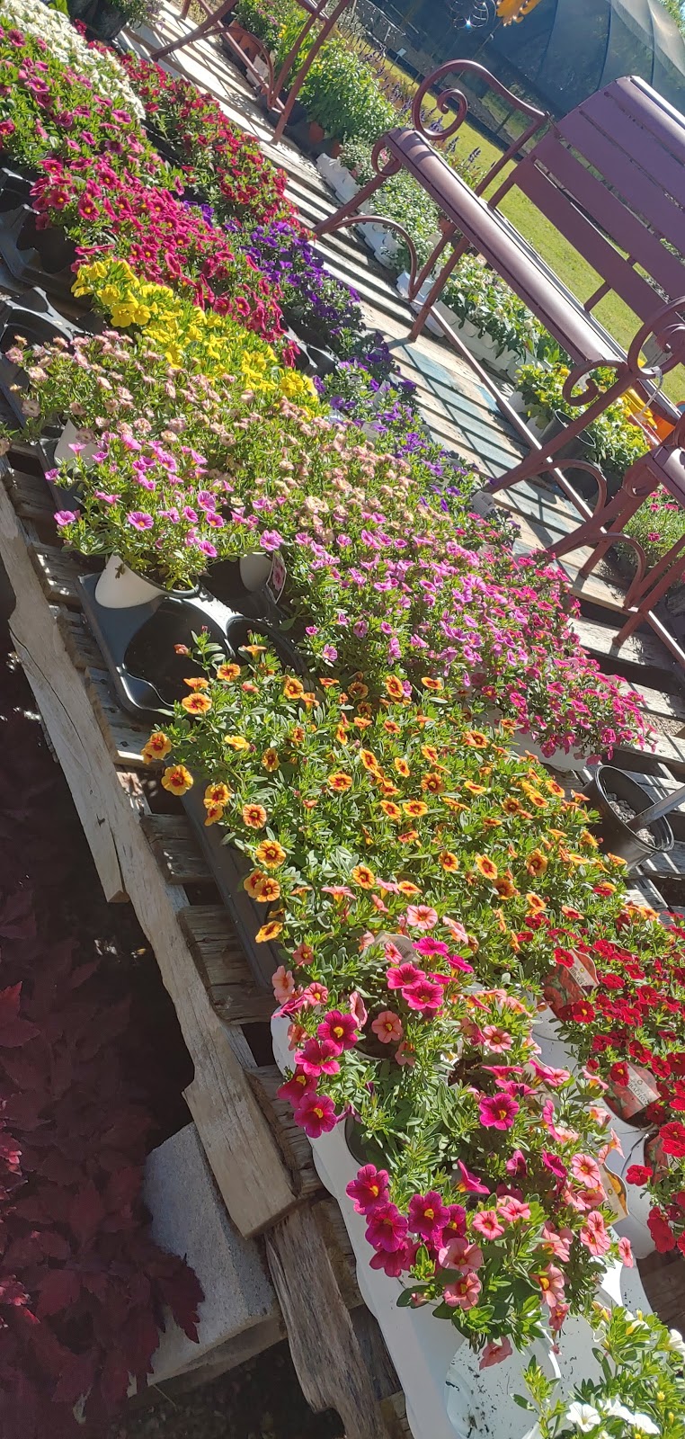 Green Acre Garden Center | Van Alstyne, TX 75495, USA | Phone: (903) 482-0300