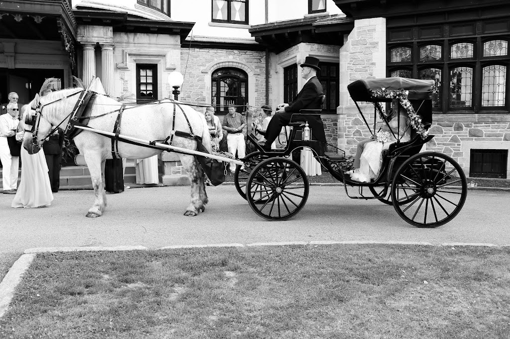 Carriage Limousine Service - Horse Drawn Carriages | 1436 John Campbell Rd, Wellsville, OH 43968, USA | Phone: (330) 532-3866