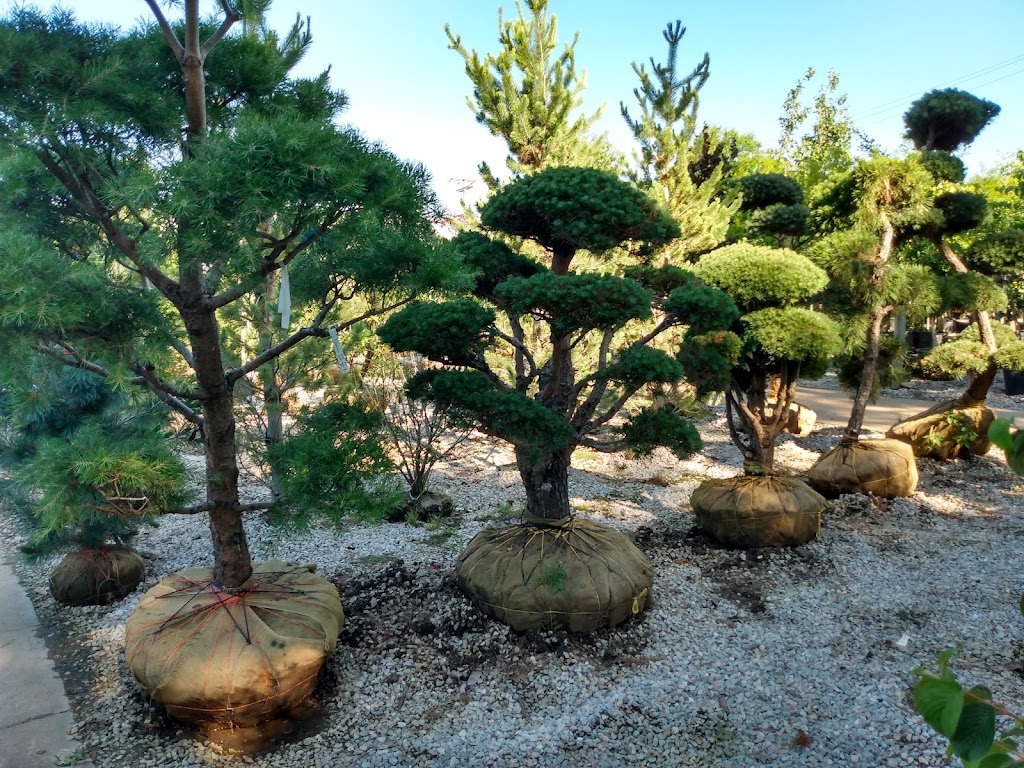 Timberwinds Nursery | 54 Clarkson Rd, Ellisville, MO 63011, USA | Phone: (636) 227-0095