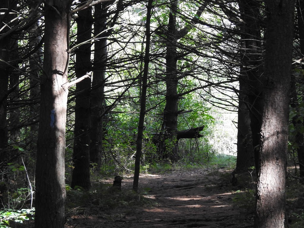 Moraine State Park | 225 Pleasant Valley Rd, Portersville, PA 16051, USA | Phone: (724) 368-8811 Moraine State Park | 225 Pleasant Valley Rd, Portersville, PA 16051, USA | Phone: (724) 368-8811