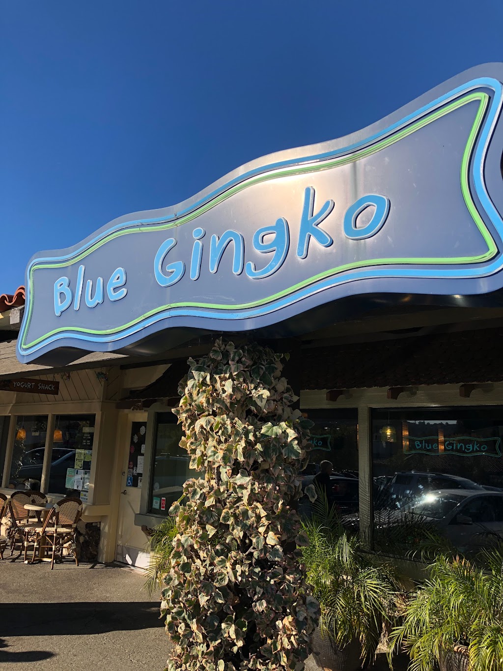 Blue Gingko | 3518 Mt Diablo Blvd, Lafayette, CA 94549 | Phone: (925) 962-9020