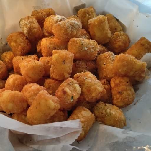 Fat Guys Fries INC | Currently only mobile food truck, 8597 E Ridge Rd, Hobart, IN 46342, USA | Phone: (219) 488-9209