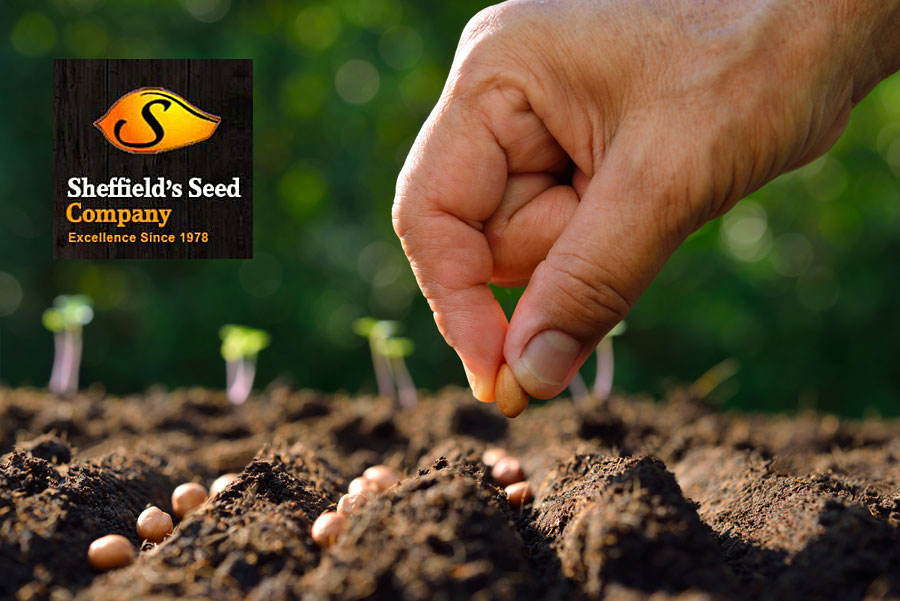 Sheffields Seed Company | 269 NY-34, Locke, NY 13092, USA | Phone: (315) 497-1058