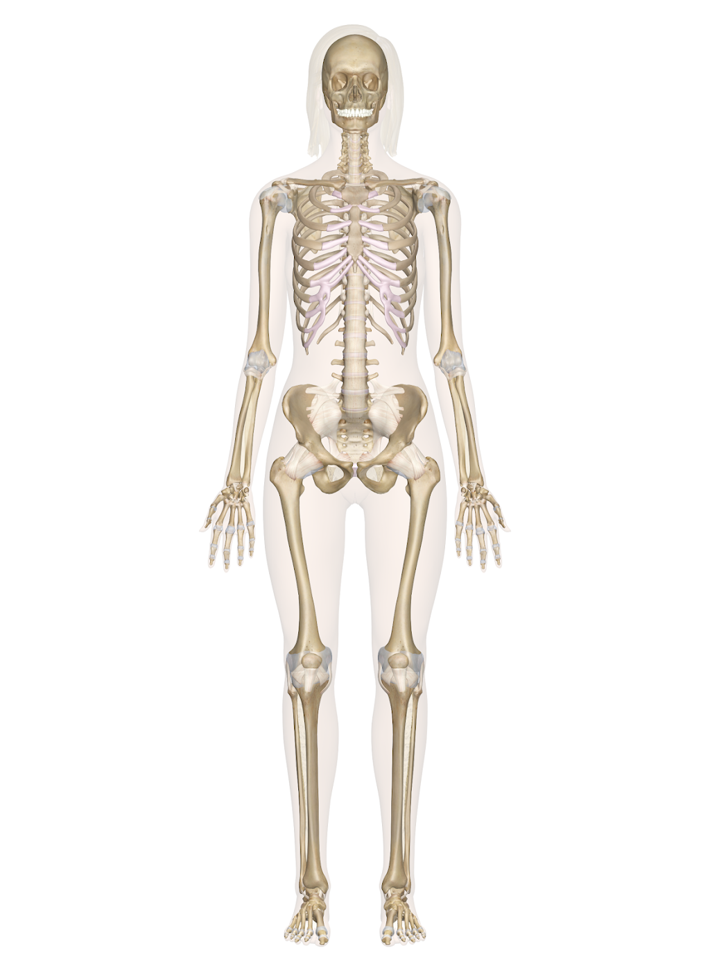 L.A. Healer | 662 Amador St, Los Angeles, CA 90012, USA | Phone: (213) 272-7451