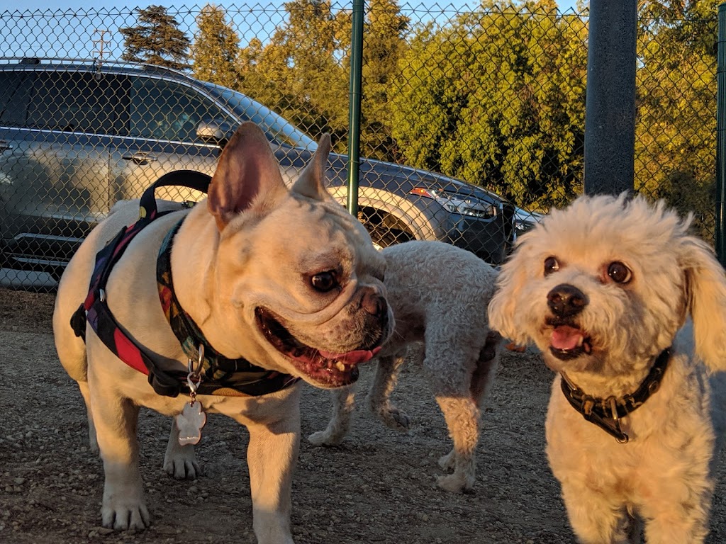 South Pawsadena Dog Park | 650 Stoney Dr, South Pasadena, CA 91030, USA | Phone: (626) 403-7380