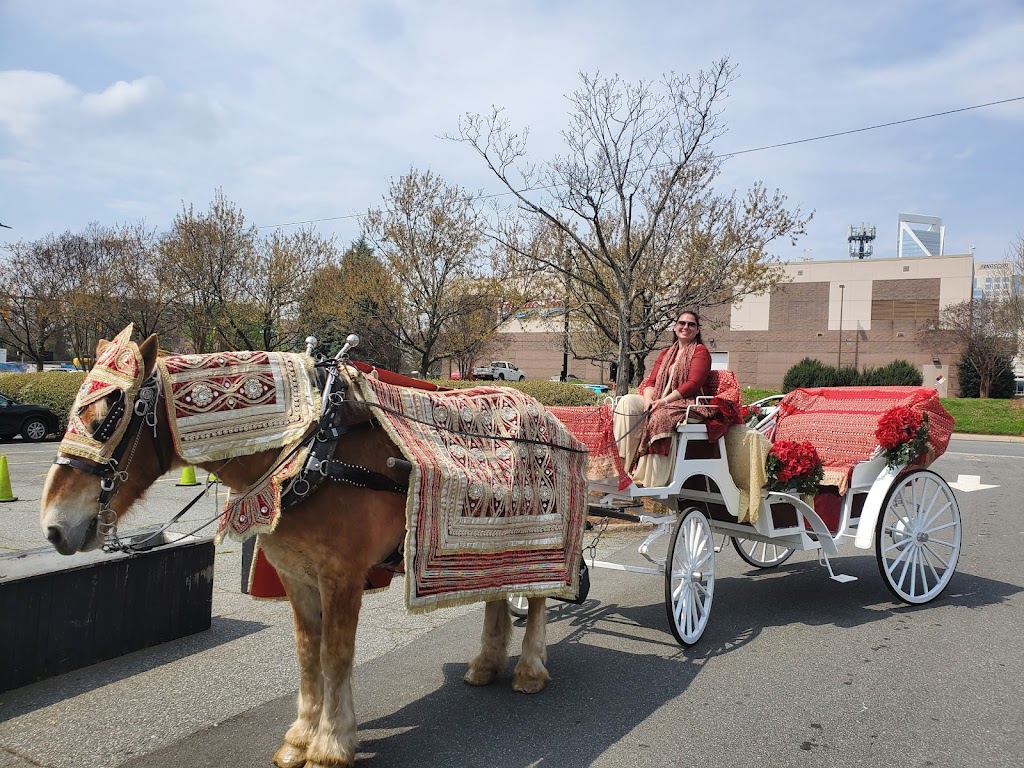 Southern Breezes Carriages | 4126 Medlin Rd, Monroe, NC 28112, USA | Phone: (704) 301-5111