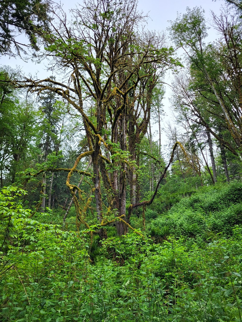 Woodard Bay Conservation Area | Olympia, WA 98506, USA | Phone: (360) 902-1000