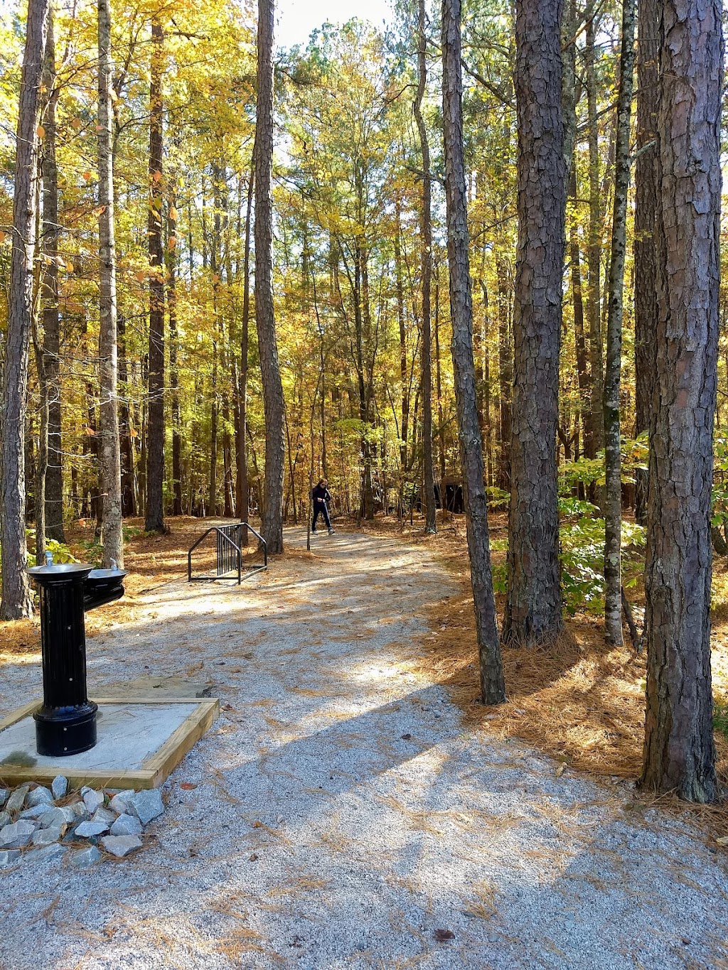 Umstead Sycamore Trail | Sycamore Trail, Raleigh, NC 27617, USA | Phone: (919) 571-4170