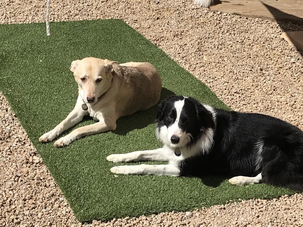 Four Legged Friends Animal Hospital | 3131 E Thunderbird Rd STE 59, Phoenix, AZ 85032, USA | Phone: (602) 787-0015