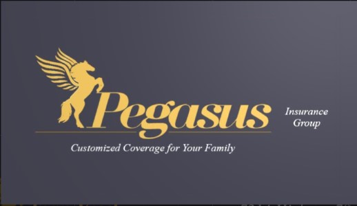 Pegasus Insurance Group, LLC | 7214 S State Hwy 78 Suite 1, Sachse, TX 75048, USA | Phone: (469) 955-6001
