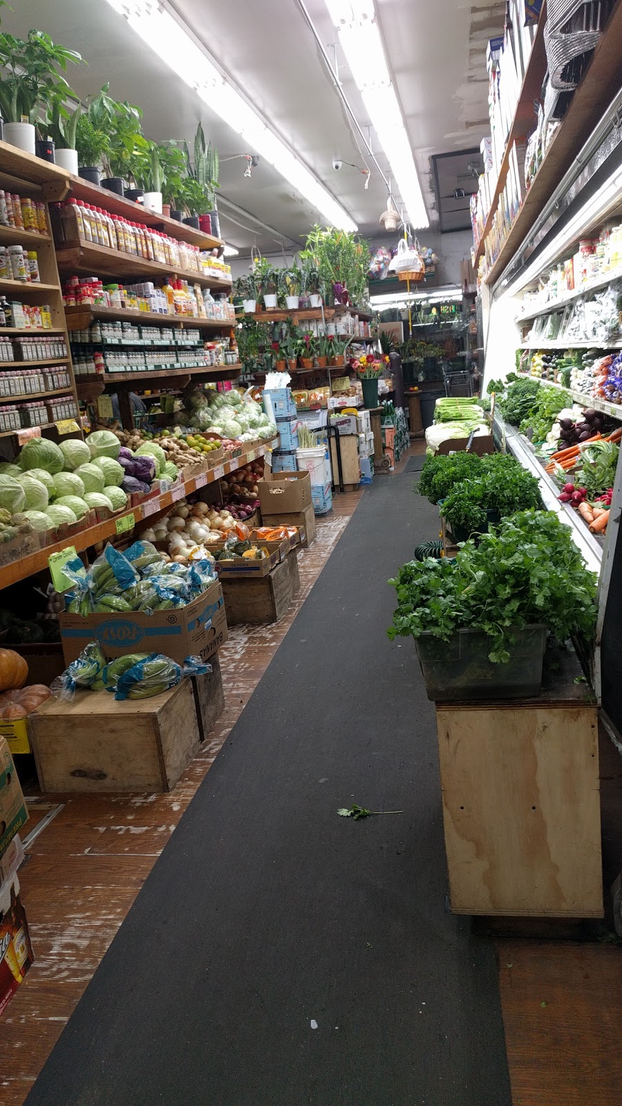Community Green Market | 2228 White Plains Rd, The Bronx, NY 10467, USA | Phone: (718) 655-4197
