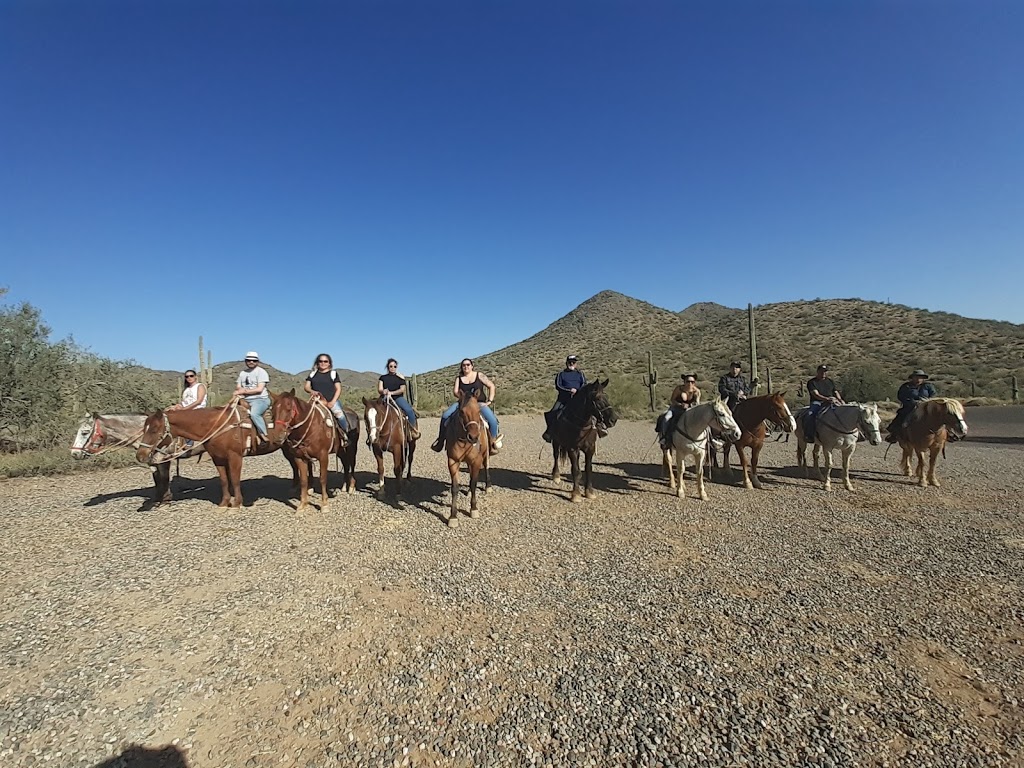 Cave Creek Trail Rides | 37019 N 32nd St, Cave Creek, AZ 85331, USA | Phone: (623) 742-6700