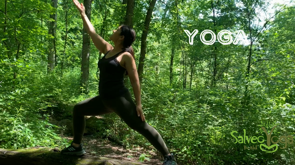 Salveo Yoga | Longview Farm Park, Des Peres, MO 63131, USA | Phone: (314) 780-0000