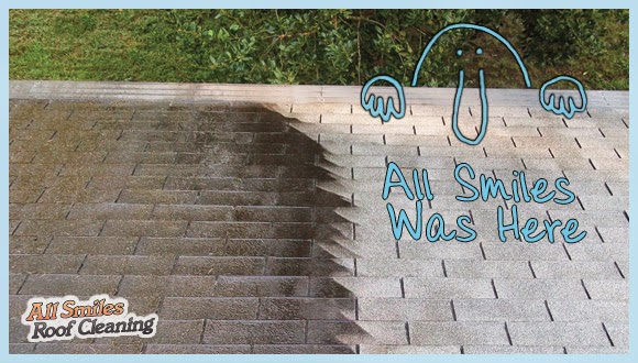 All Smiles Roof Cleaning | 13711-23 Rockahock Rd, Lanexa, VA 23089, USA | Phone: (804) 514-3898