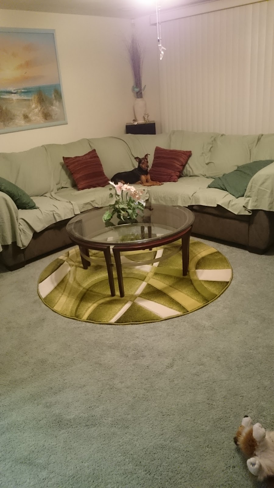 Far Beyond Rails LLC | 6541 Silverbell Dr, New Port Richey, FL 34653, USA | Phone: (407) 928-8120