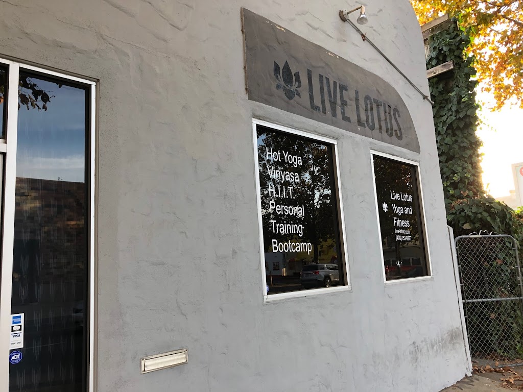 Live Lotus | 25 Dana Ave, San Jose, CA 95126, USA | Phone: (408) 753-9277