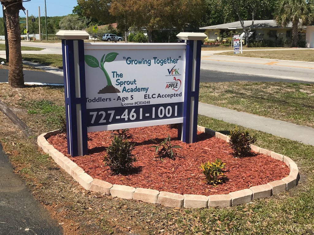 The Sprout Academy - Clearwater | 1419 Sunset Point Rd, Clearwater, FL 33755 | Phone: (727) 461-1001