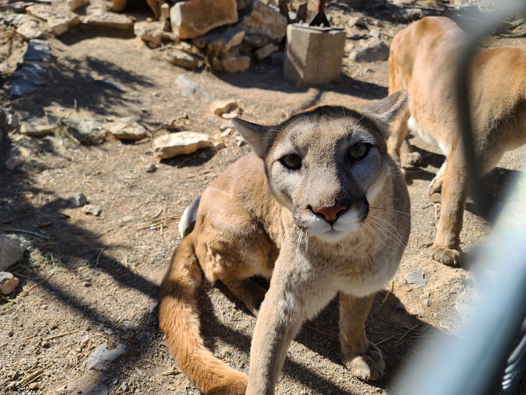 Wildlife West Nature Park | 87 N Frontage Rd, Edgewood, NM 87015 | Phone: (505) 281-7655