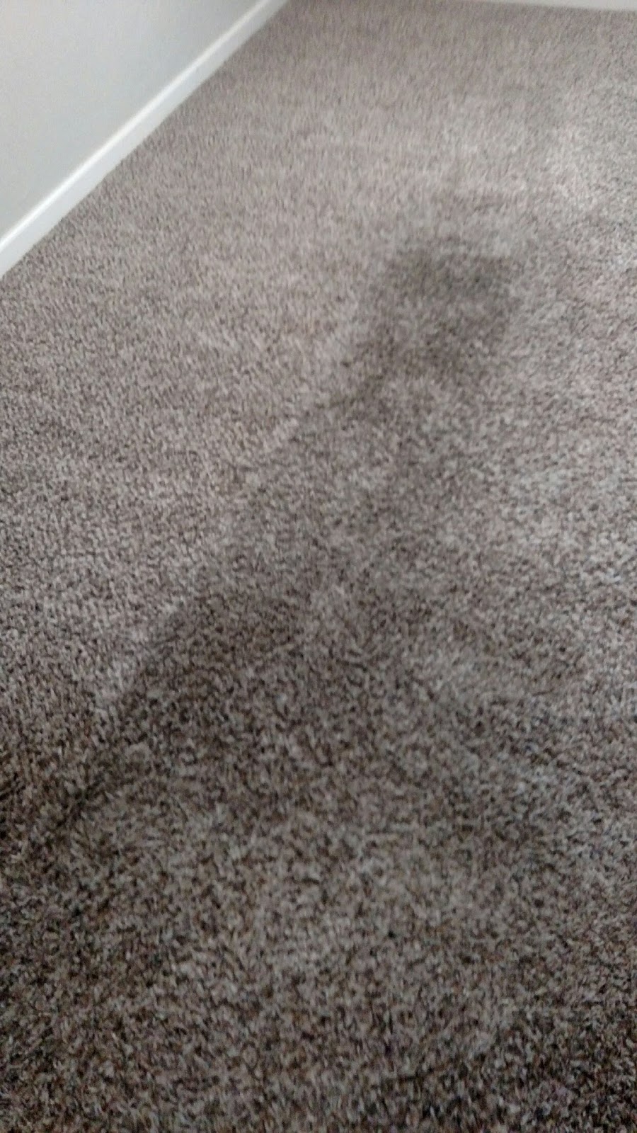 McGills Carpet Cleaning | 1820 S Portland Ave, Newcastle, OK 73065, USA | Phone: (405) 222-2230