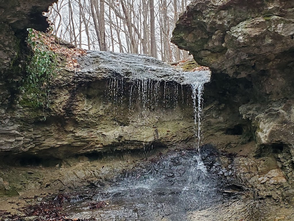 John M Olin Nature Preserve (Nature Institute) | 2213 S Levis Ln, Godfrey, IL 62035 | Phone: (618) 466-9930