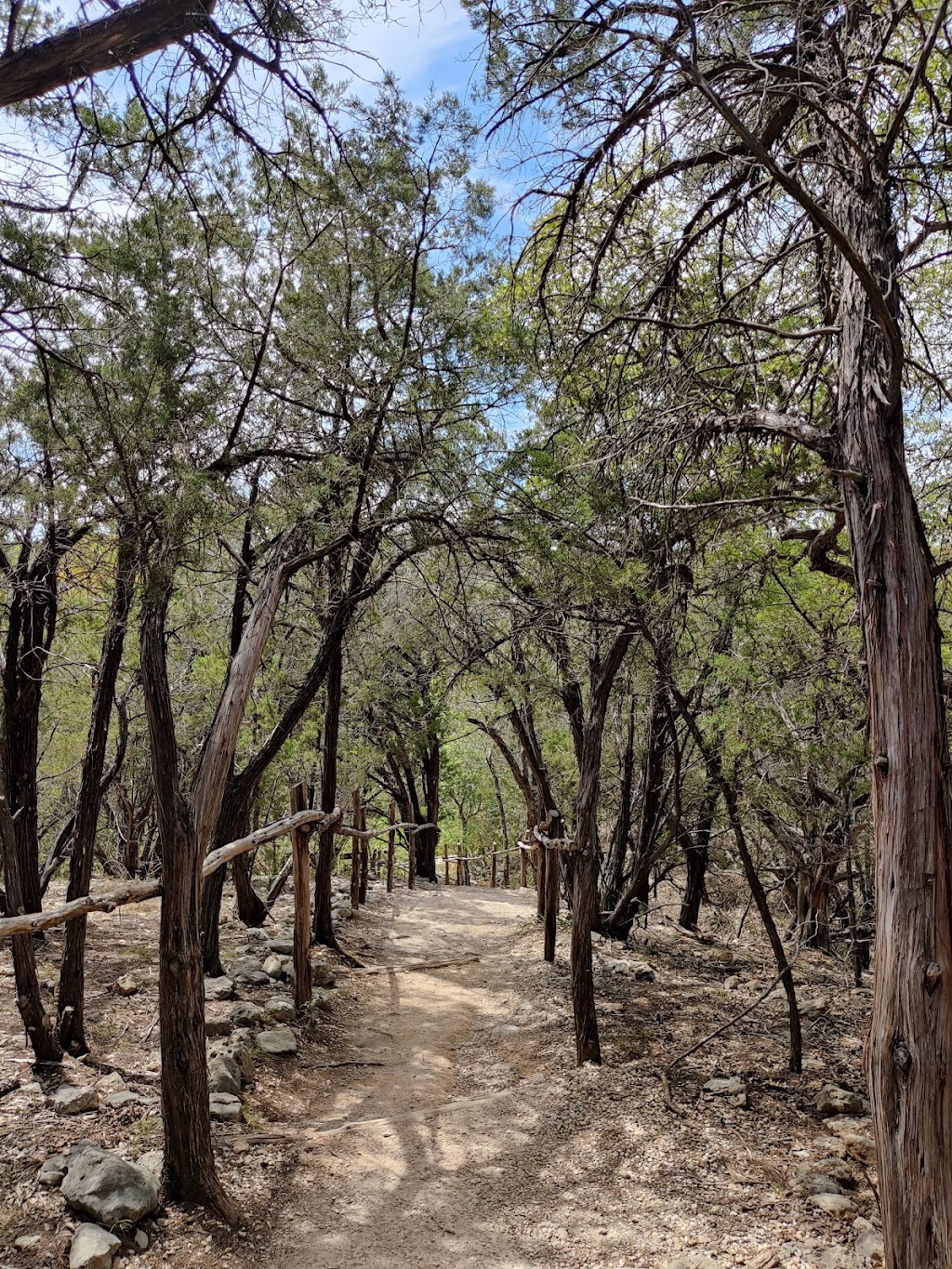 Jacobs Well Natural Area | 1699 Mt Sharp Rd, Wimberley, TX 78676, USA | Phone: (512) 214-4593