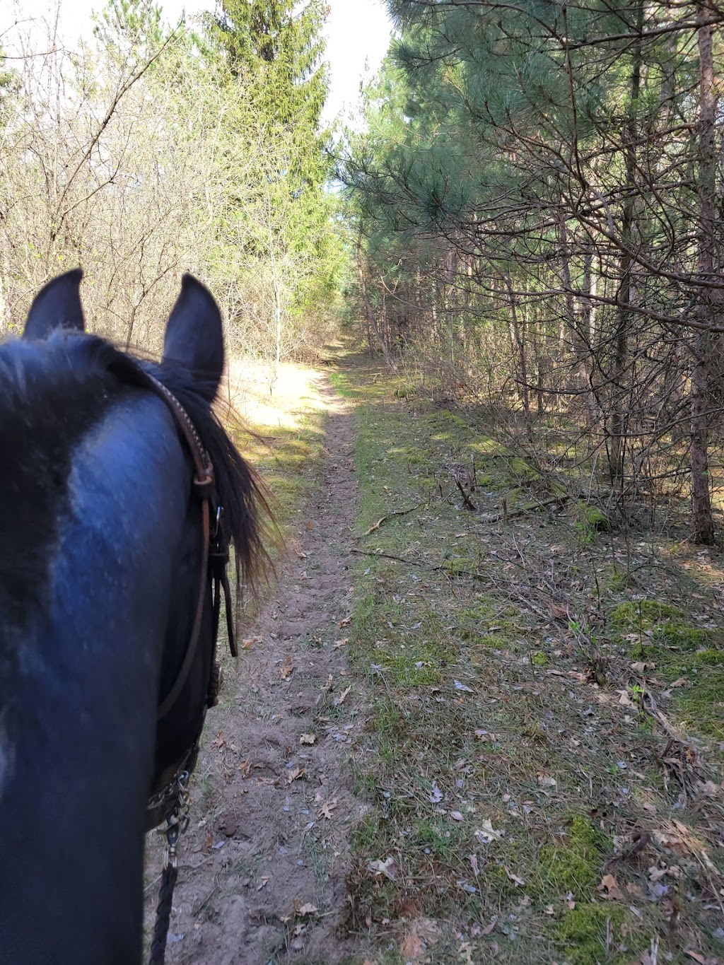 North Orrock Trailhead | Big Lake, MN 55309, USA | Phone: (651) 296-6157