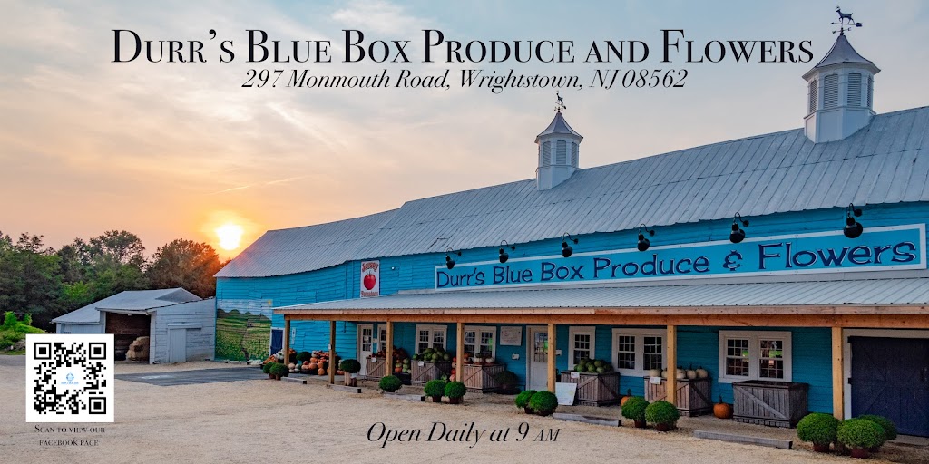 Durrs Bluebox Produce | 297 Monmouth Rd, Wrightstown, NJ 08562, USA | Phone: (609) 410-8201