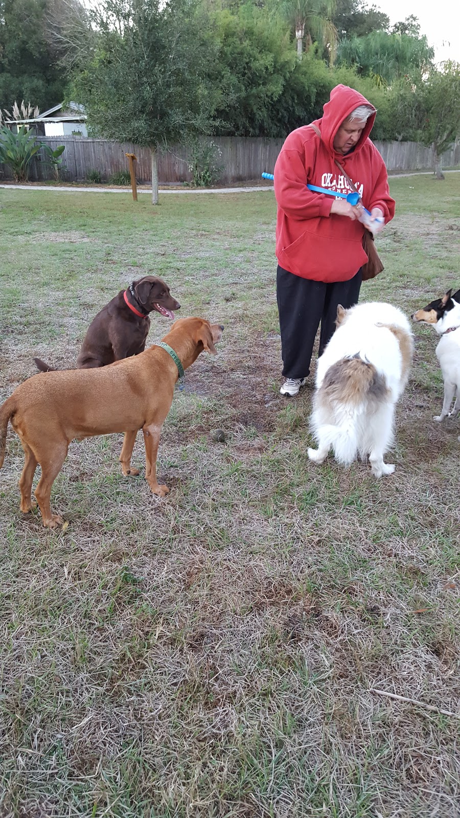 Otts Off-Leash Dog Sanctuary | 2103 3rd Ave SE, Ruskin, FL 33570, USA | Phone: (813) 645-6411