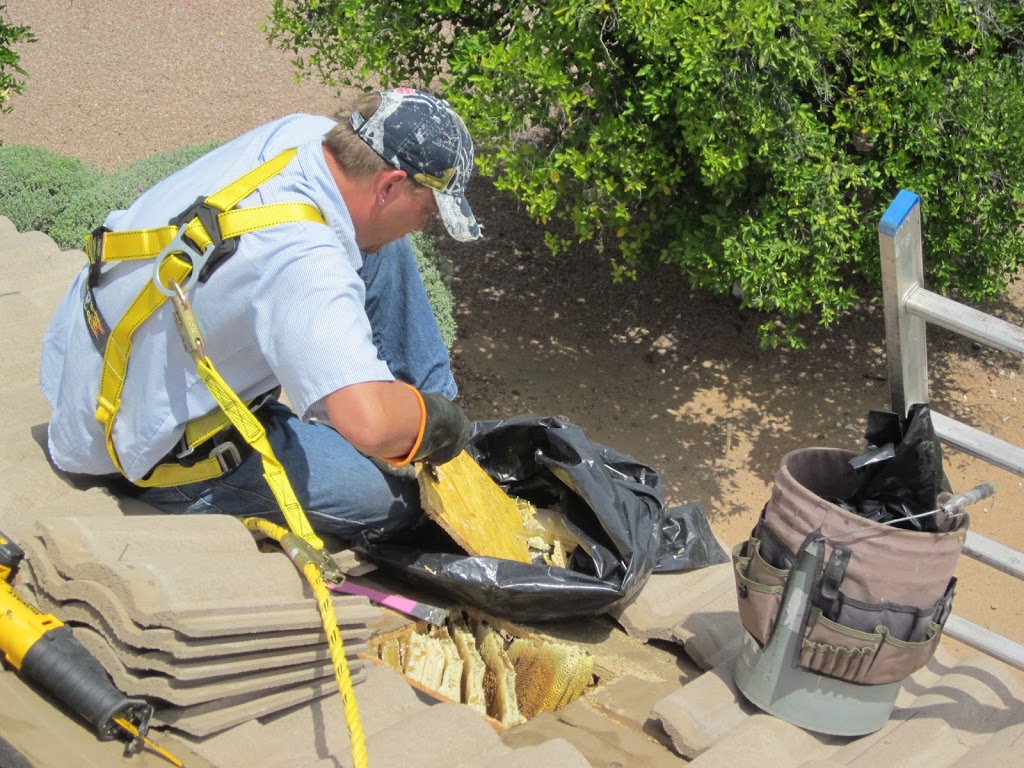 The Beekeeper Total Bee Control Inc | 4422 W Turquoise Ave, Glendale, AZ 85302, USA | Phone: (623) 587-4700