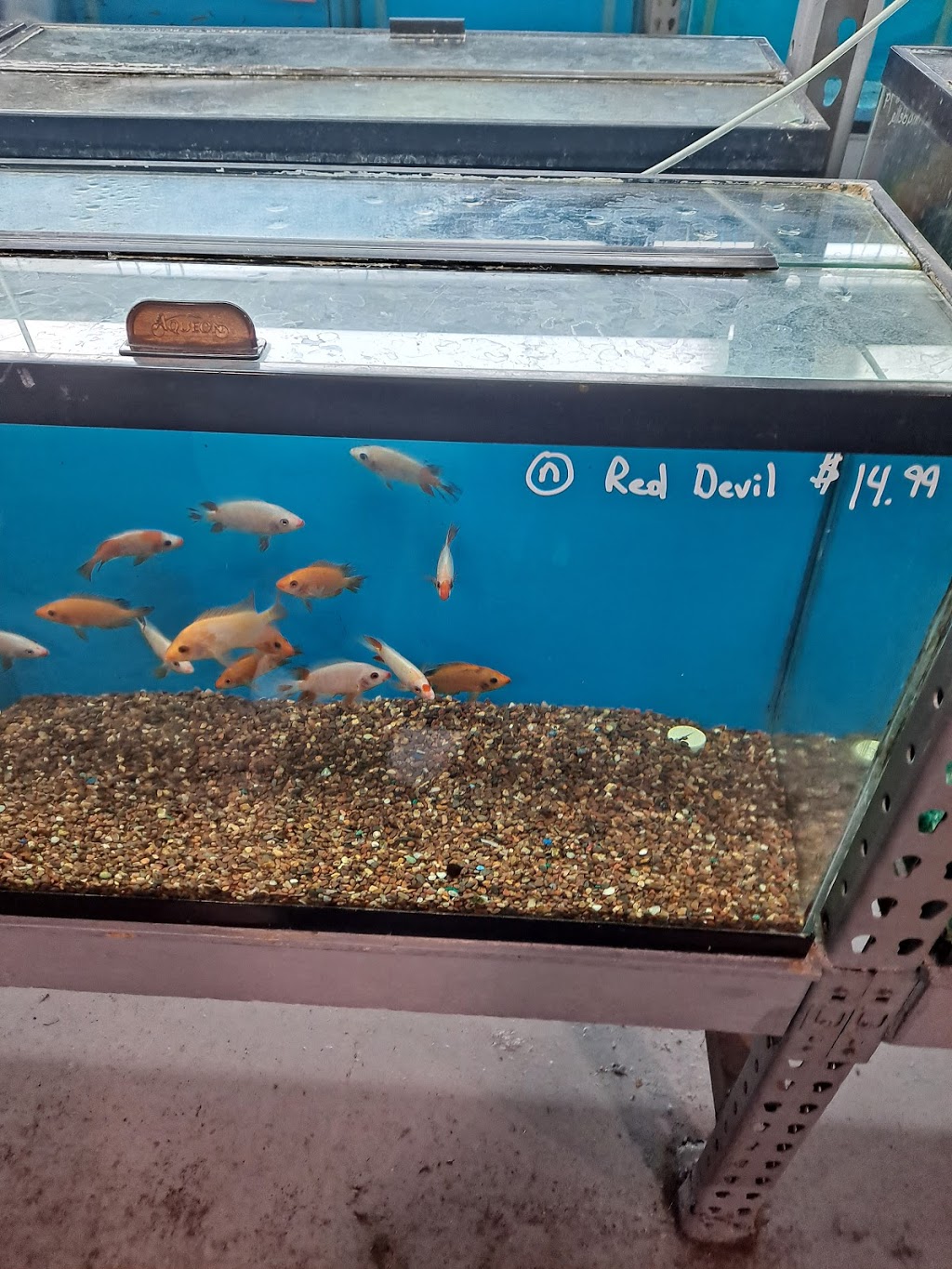 RMS Aquaculture | 6629 Engle Rd # 108, Cleveland, OH 44130, USA | Phone: (216) 433-1340