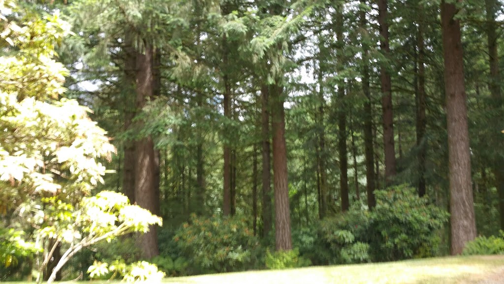 House of Whispering Firs | 20080 SW Jaquith Rd, Newberg, OR 97132, USA | Phone: (503) 628-3695