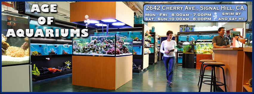 Age of Aquariums | 2642 Cherry Ave, Signal Hill, CA 90755, USA | Phone: (562) 438-6252