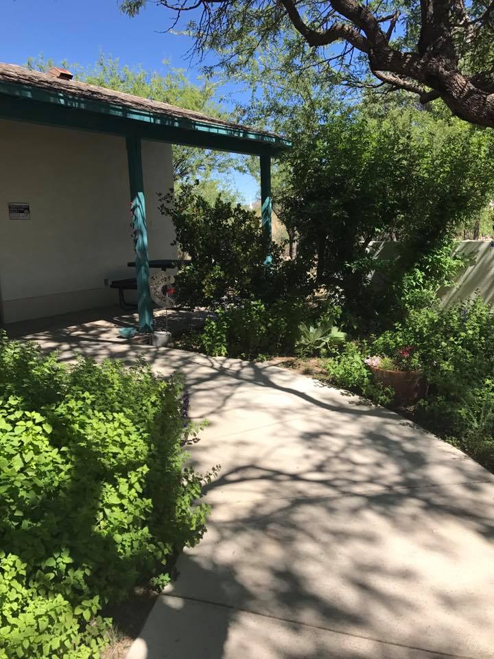 Caviglia-Arivaca Library | 17050 W Arivaca Rd, Arivaca, AZ 85601, USA | Phone: (520) 594-5235