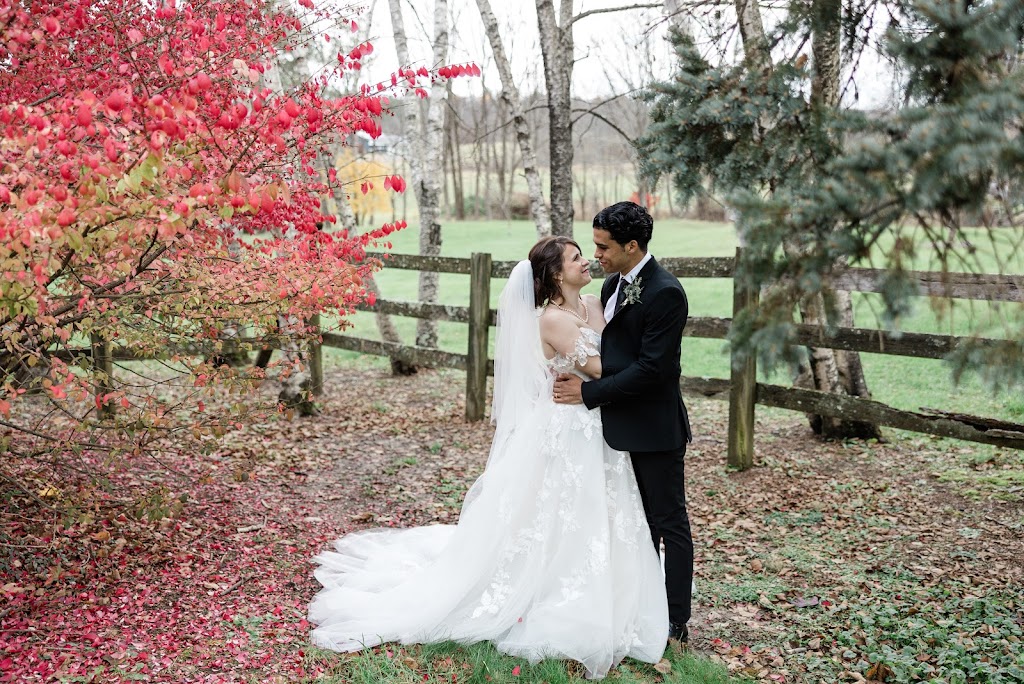 Linda Conley Photography | 28 Westmere Terrace, Albany, NY 12203, USA | Phone: (518) 445-0106